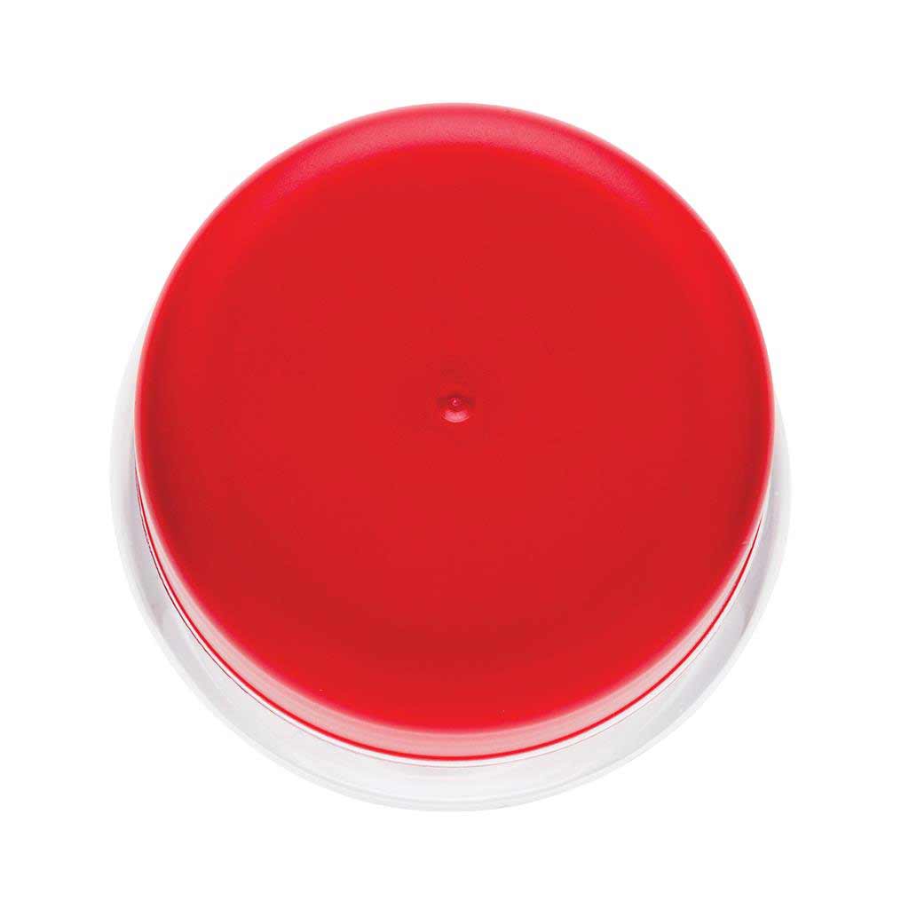 EVERYDAY - XD Fruit Infuser Bottle Red